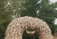 Your Ultimate Guide to Jackson Hole, Wyoming