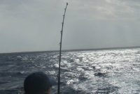Grand Turk Deep Sea Fishing: Hooking Adventure, Landing Joy