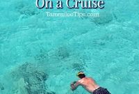 Maximizing Your Curacao Cruise Day