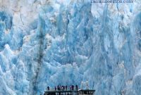 Tracy Arm Fjord Glacier Expedition for Alaska Cruises