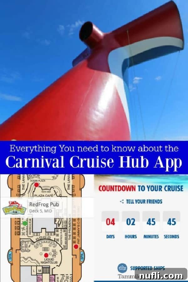 Unlock Your Best Cruise with Carnival Hub 1 featured 109162