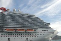 Your Cruise Excursion Questions Answered