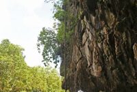 Puerto-Princesa Underground River Wonders