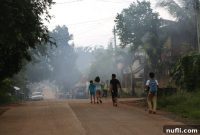 Island Lens: Palawan Adventures in Focus