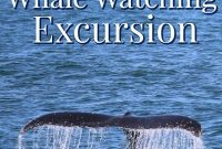 Juneau’s Wild Whale Safari