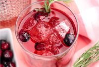 Festive Spiced Cranberry Elixir