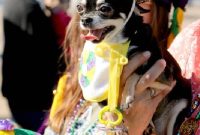 Krewe of Barkus Lake Charles Canine Carnival