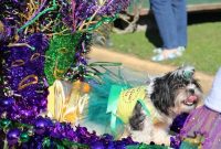 Lake Charles Mardi Gras Spectacle