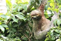 Costa Rica: The Life I Never Expected