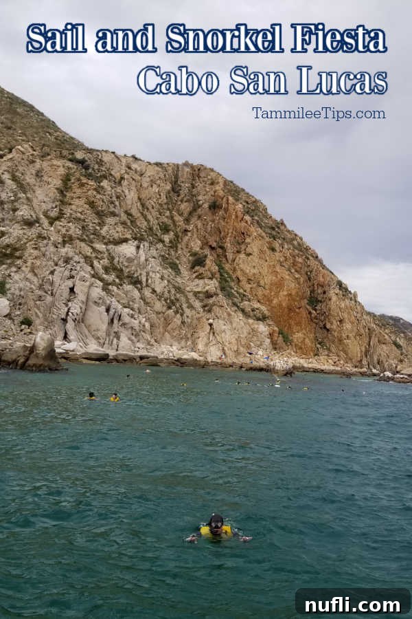 Cabo San Lucas Sail and Snorkel Bash 1 featured 117982