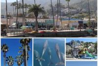 Your Essential Guide to Catalina Island Cruise Adventures