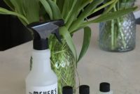 Unleash Spring Freshness with Mrs. Meyer’s Concentrate