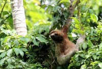 Ideal Costa Rica Travel Seasons