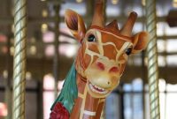 Grand Rapids Public Discoveries