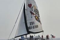 Wild Hearts Dolphin Discovery Gulf Shores