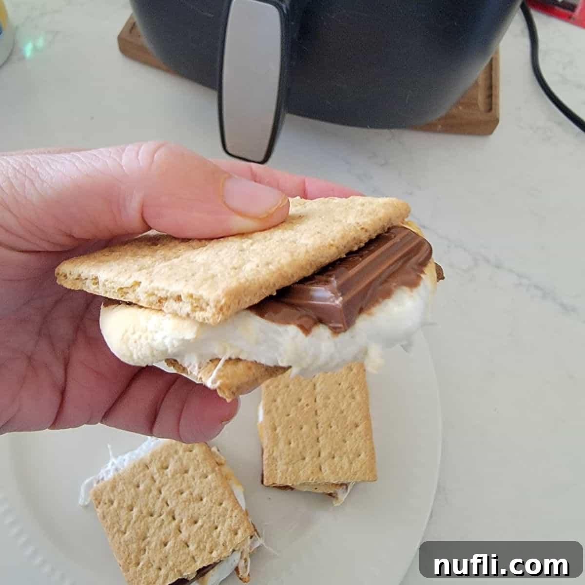 Gooey Air Fryer Smores 1 featured 147551