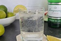 Sparkling Gin Refresher