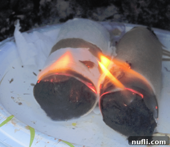 Make Your Own Fire Starters 1 featured 29712