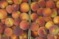 How to Freeze Fresh Peaches