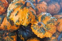 100+ Ghoulishly Good Halloween Jokes