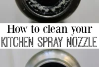 Deep Clean Your Kitchen Faucet Sprayer