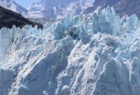 Glacier Bay: Majestic Ice, Unforgettable Cruise