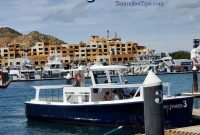 Unlock Your Best Cruise Port Days