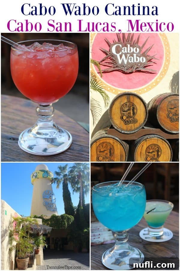 Cabo Wabo Cantina: Cabo's Legendary Party Spot 1 featured 37368 1