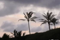 Maui Camping Blunders to Avoid