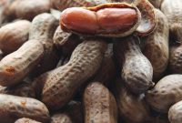 Authentic Cajun Boiled Peanuts Crock Pot