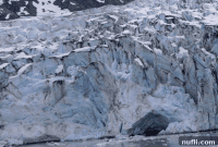 Epic Alaska Cruise Adventures