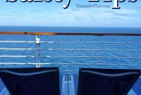 Smart Cruise Safety Advice