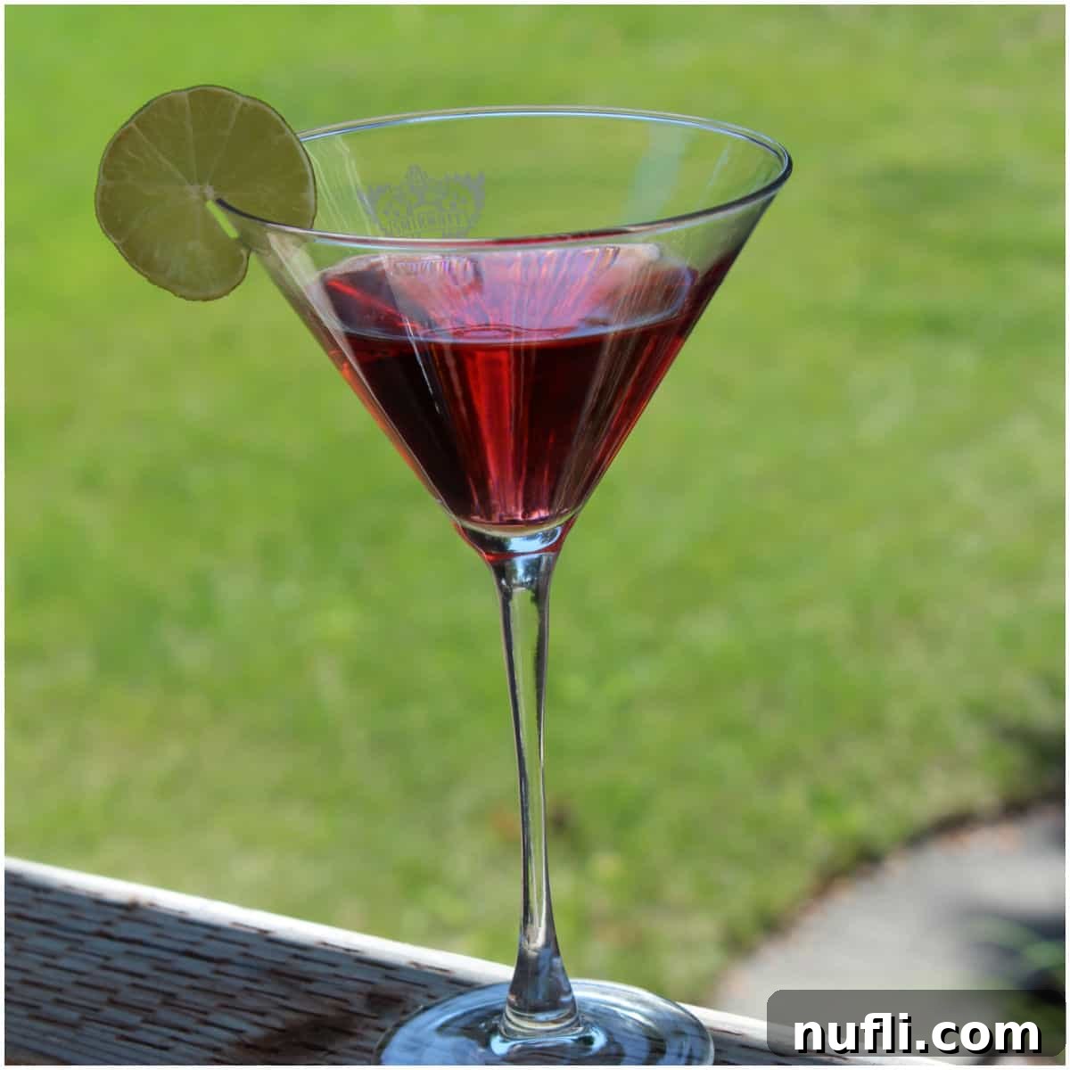 Raspberry Pomegranate Cosmopolitan 1 featured 68713