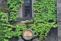 Napa Valley Wine Tasting An Insider’s Guide