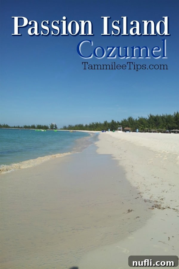 Passion Island Cozumel Power Catamaran Adventure 1 featured 90438