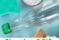 10 Clever Vinegar Cleaning Hacks