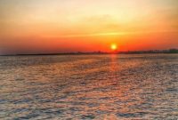 Sanibel & Captiva Islands: Insider Travel Secrets