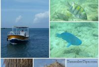 Palm Island Aruba: The Ultimate Beach & Snorkel Escape