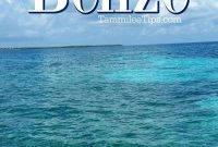 Belize’s Barrier Reef: A Snorkeler’s Dream