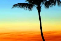 Sanibel Island: Florida’s Picture-Perfect Escape