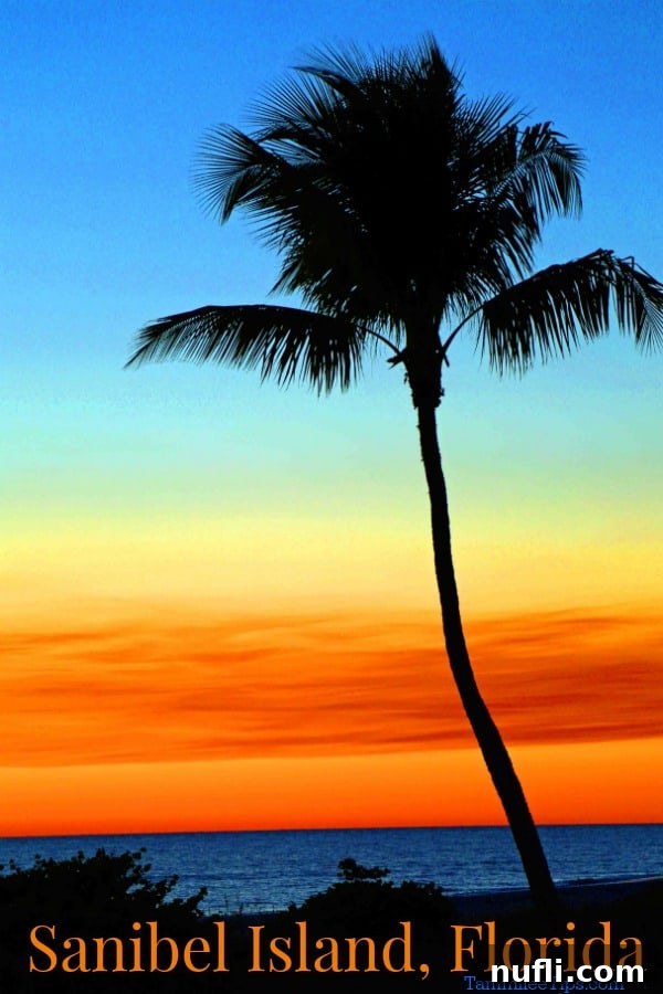 Sanibel Island Florida: Your Visual Guide to Paradise 1 featured 96066