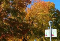 Exploring College of the Ozarks Hard Work U