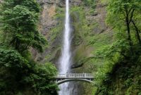 Waterfall Splendor and Hood River Orchard Delights