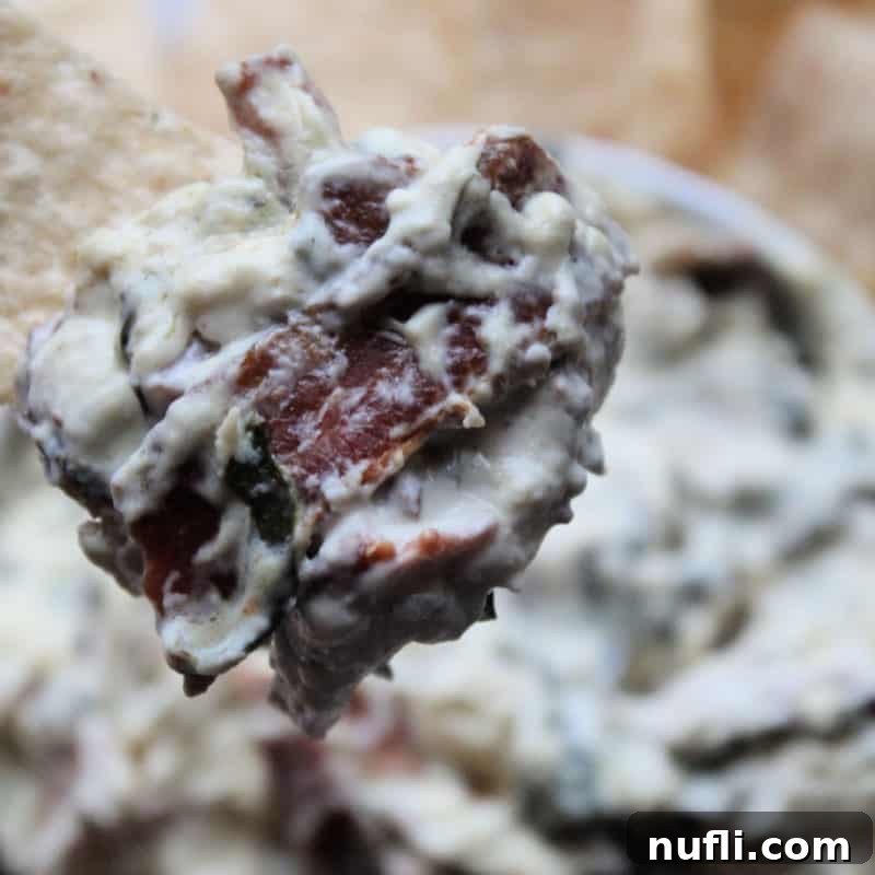 Easy Slow Cooker Appetizers 28 Bacon Blue Cheese Dip on a tortilla chip above a white bowl