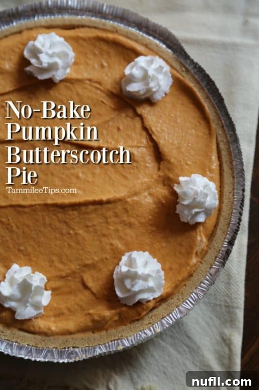 No bake Pumpkin Butterscotch Pie with cool whip on top, served on a rustic pie stand.
