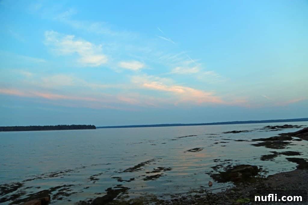 looking over the water at sunset