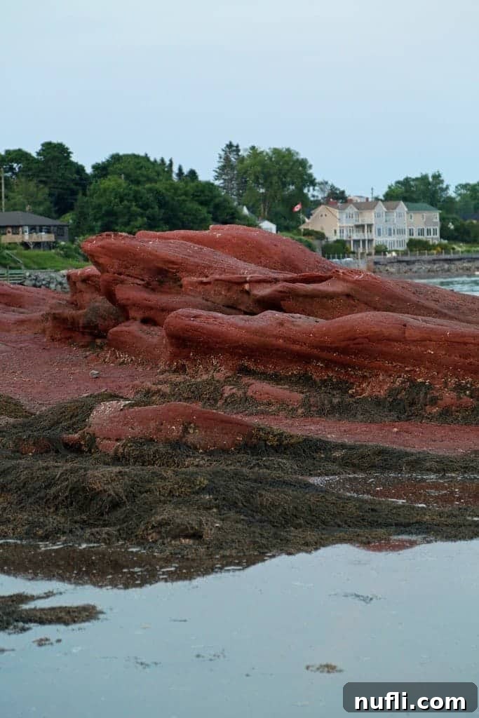 rocks at low tide with houses in the background