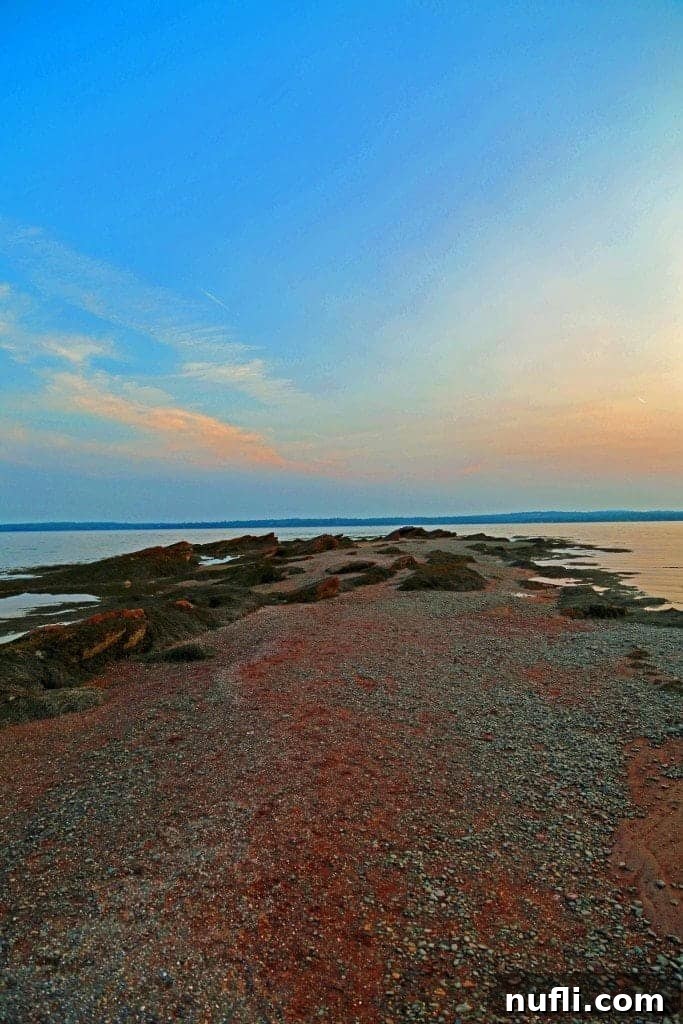 A scenic peninsula with exposed rocks and water on both sides, illustrating the dynamic low tide landscape near Saint Andrews.
