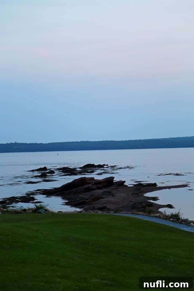 Serene view of water and rocks from a lush green lawn, highlighting the tranquil coastal setting of Saint Andrews by the Sea.