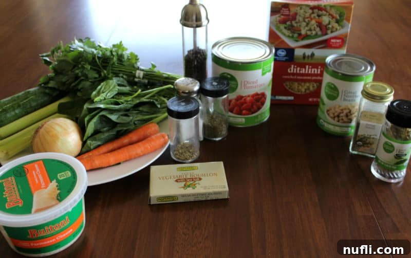 parmesan cheese, vegetable bouillon, diced tomatoes, pasta in a box, great northern beans can, onion, salt and pepper, spices, on a counter